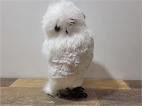 Hairy White Owl.