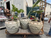 6pc Asian Dragon Theme Large Planters