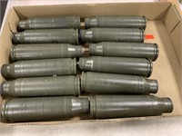 (12) 25mm EMPTY Shells