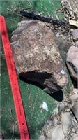 Large Garden Worm Rock / Fossilized Rock