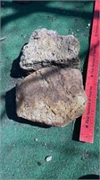 2 Decorative Garden Worm Rocks / Fossilized Rocks