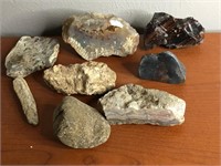 Stone SeaShell Fossil & Other Assorted Specimens