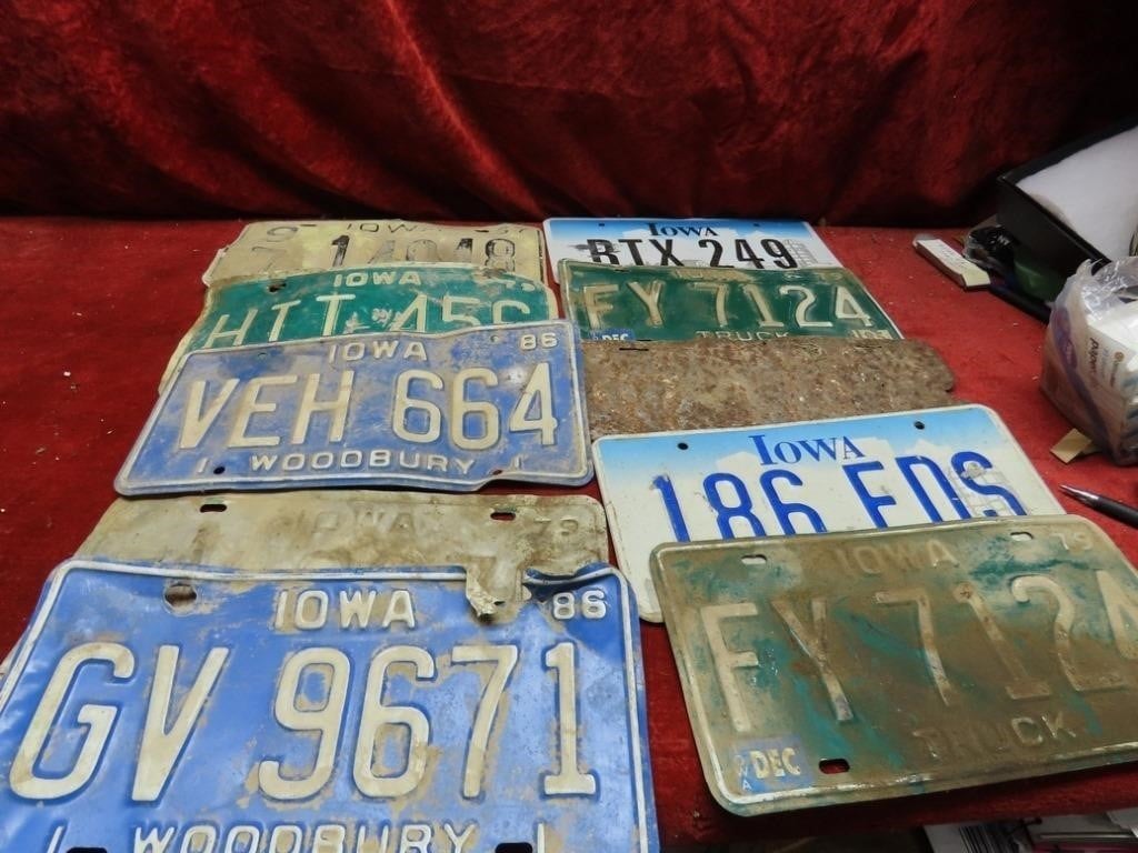 Vintage IOWA license plates.