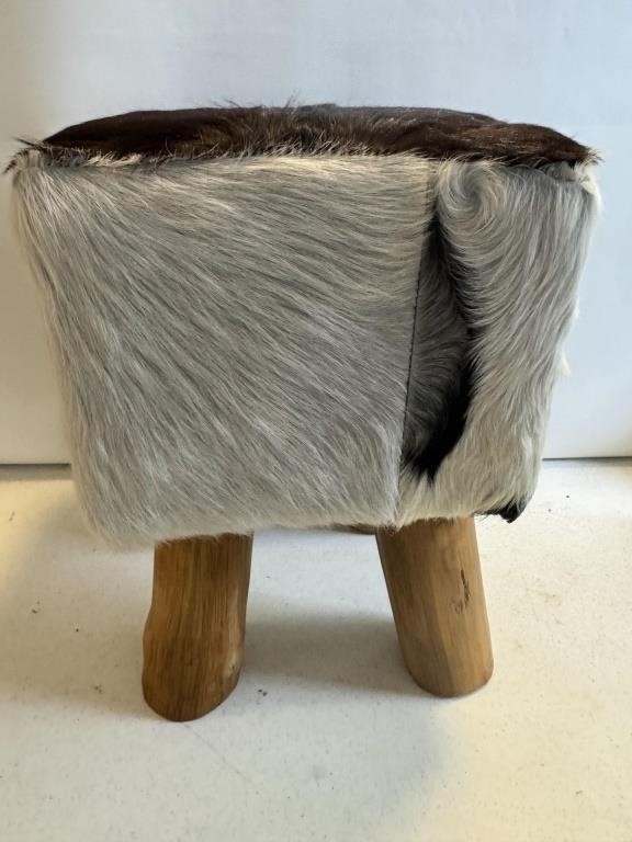 Animal skin fur foot store measure 17 inches tall