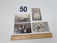 Old dog RPPC postcards