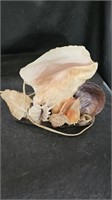 Shell Art Lamp