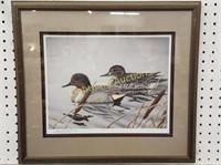 LIMITED EDITION DUCK PRINT
