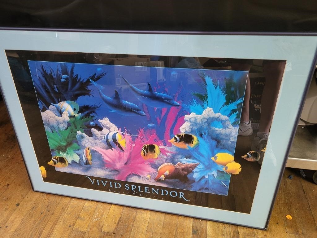 'Vivid Splendor' David Miller Fish Art Framed