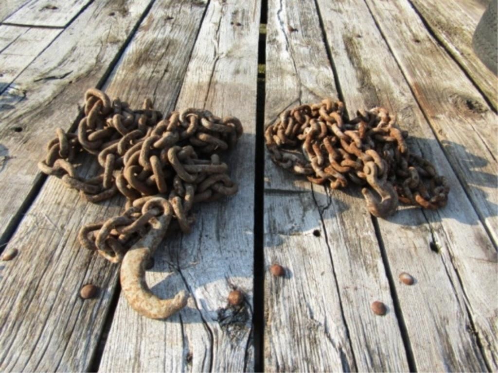 2-Log Chains Both with One Hook