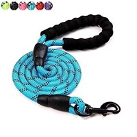 Dog Leash with Poop Bag and 5 FT