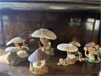 Mushroom collection (7 pieces)