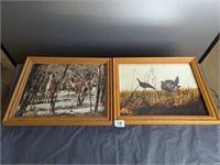 2 Framed Wildlife Pictures- Turkey & Deer