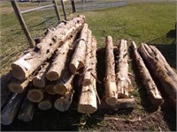 (21) 8' Cedar Posts 5"-8" (EACH)