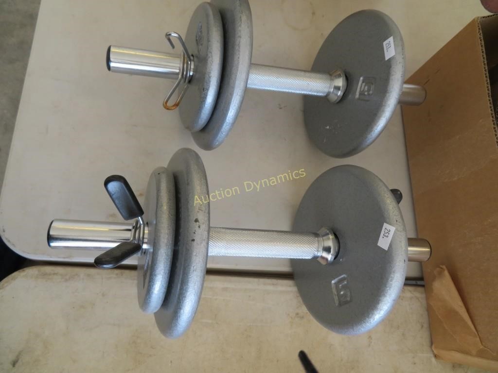Pair of Exercise Weights