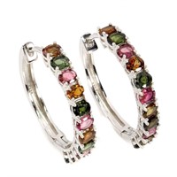 Natural Oval Multi Color  Tourmaline Earrings