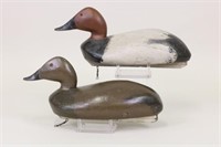 Danny Scriven Pair of Hen and Drake Canvasback