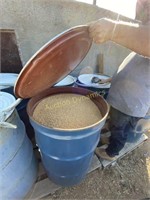 55 gallon drum of Wheat