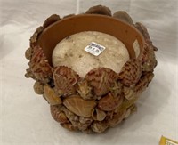 Seashell flower pot 7"