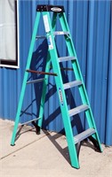 6' Fiberglass Werner Stepladder From 90 Year Old