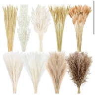 Dried pampas grass