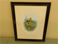 Chickadee Framed Picture (19 x 23)