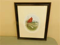 Framed Cardinal Bird Picture(19 x 23)