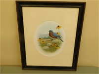 Framed Bird Picture (19 x 23)
