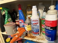 Shelf of Oil, Rectorseal, Oxy Deep, Windex and an