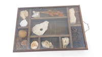 Shadow Box of Stones, Fossils, Minerals, etc