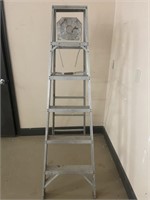 Eag-I-line Aluminum Ladder