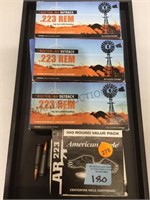 Tray of .223 ammo, Australian outback & American