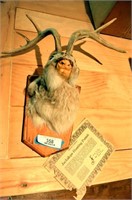 MOUNTED JACKALOPE