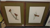 2 framed bird prints