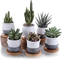 Ceramic Small Succulent Plant POT