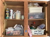 Contents of (2) Shelves