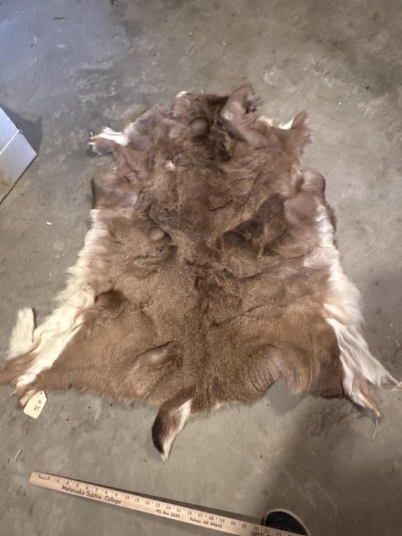 Tanned deer hide