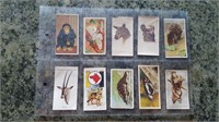 Lot of 10 Animal Tobacco Cards from the 1930s 1940