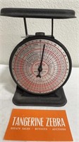 1934-44 Master Marvel Mail Scale