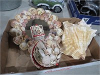 COLLECTION  OF COUNCH SHELL & SHELL ART