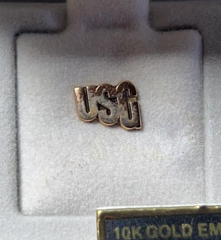 10k Gold USC Pin