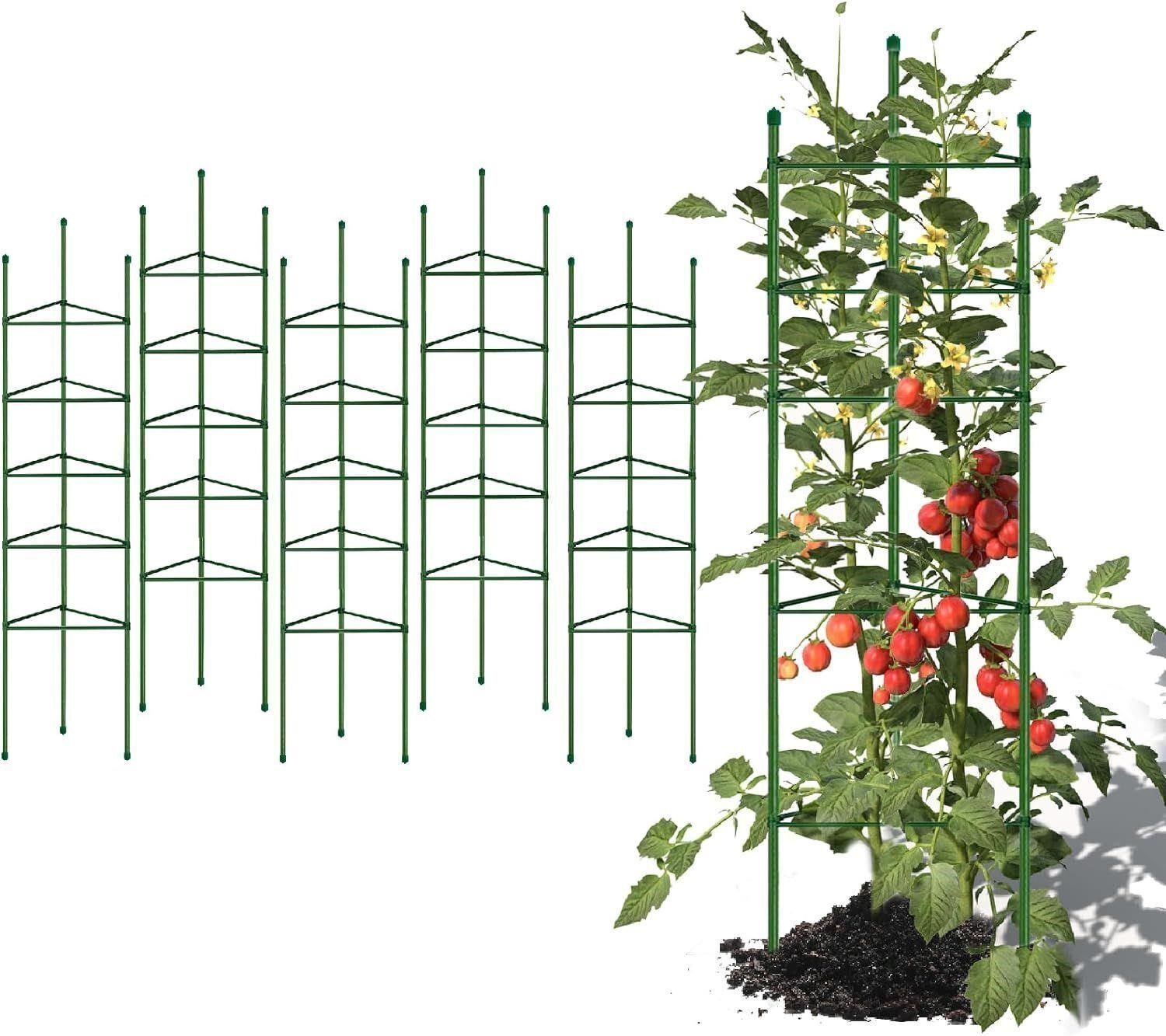 6ft 6-Pack Tomato Cage