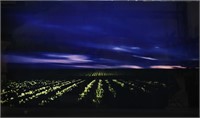 Daniel Sandberg Photograph on Glass Field 4