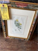 PAINTED FLORAL FRAMED WATERCOLOR SKETCH - #253 - W