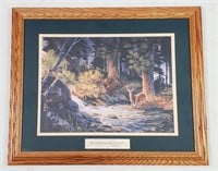 Deer in Nature Framed Art