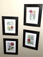 Botanical Prints in Custom Frames Lot of 4