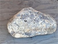 17" Stone ? Rock Hounds Will Know