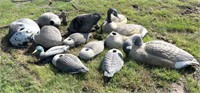 Goose Shell Decoys, Most Heads Missing