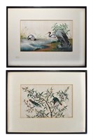 2 Framed Chinese Pith Paintings, 19th Century