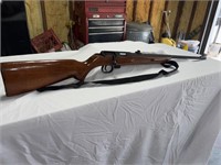 22 long rifle