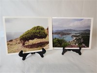 Lot of 8 x 10  Landscape Photograpy and Frames